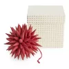A World of Craft Paper Star