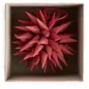 A World of Craft Paper Star