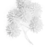 A World of Craft Paper Stars Set of 6