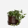 Ceramic Plant Pot