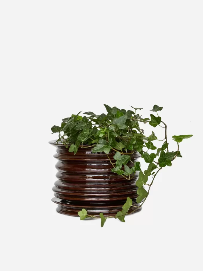 Ceramic Plant Pot