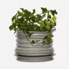 Ceramic Plant Pot