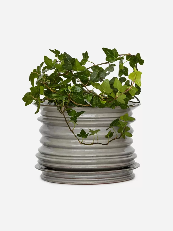 Ceramic Plant Pot