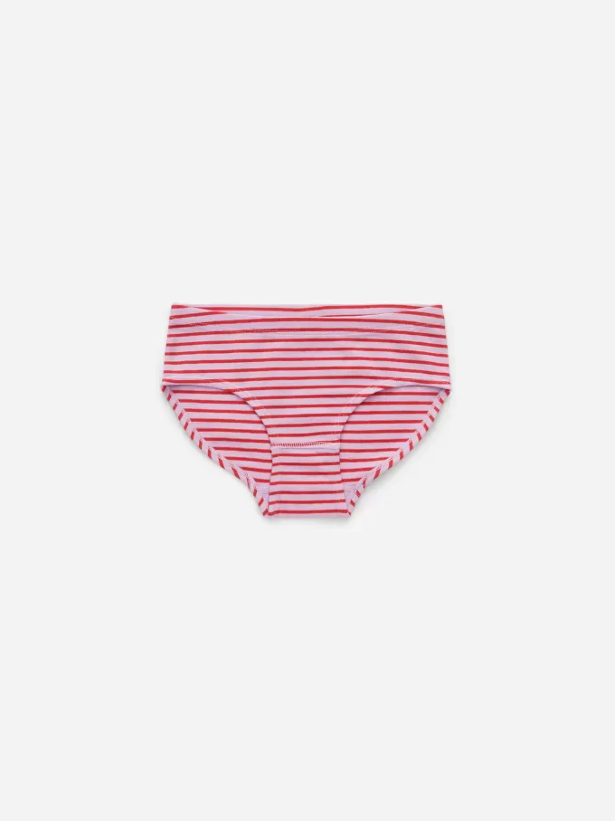Cotton Jersey Briefs Set of 5