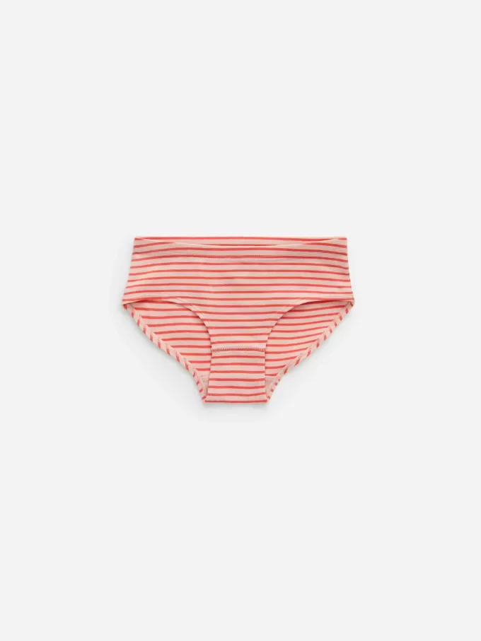 Cotton Jersey Briefs Set of 5