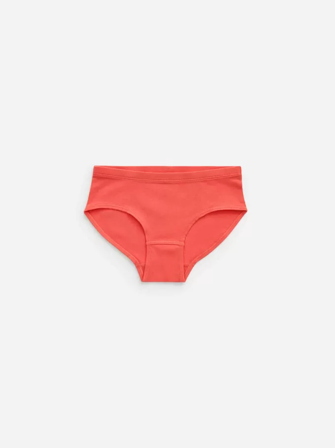 Cotton Jersey Briefs Set of 5