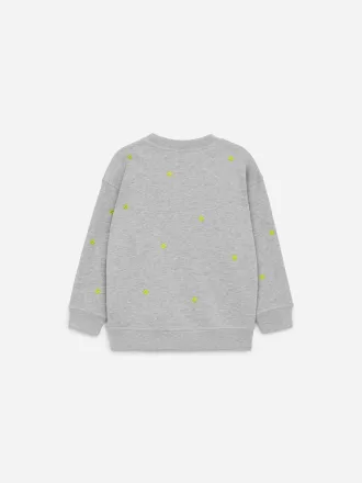 Embroidered Sweatshirt