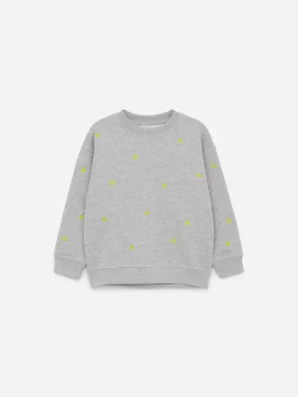 Embroidered Sweatshirt