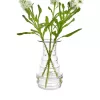 Glass Vase 24 cm