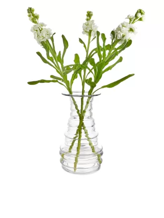 Glass Vase 24 cm