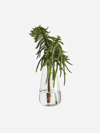 Glass Vase 26 cm