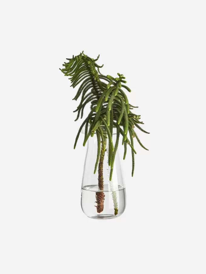 Glass Vase 26 cm