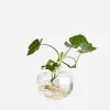 Glass Vase 9 cm