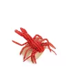 Guanabana Lobster Napkin Ring
