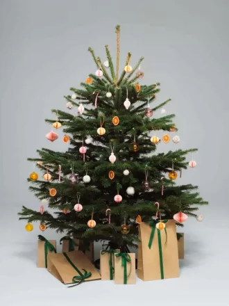 Honeycomb Ornaments Set of 2
