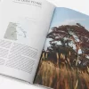 Kinfolk Journeys