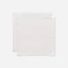 Lace-Edge Napkin Set of 2