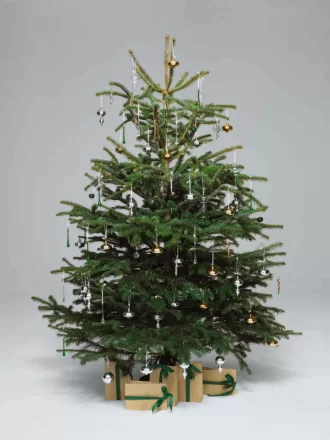 Glass Bauble