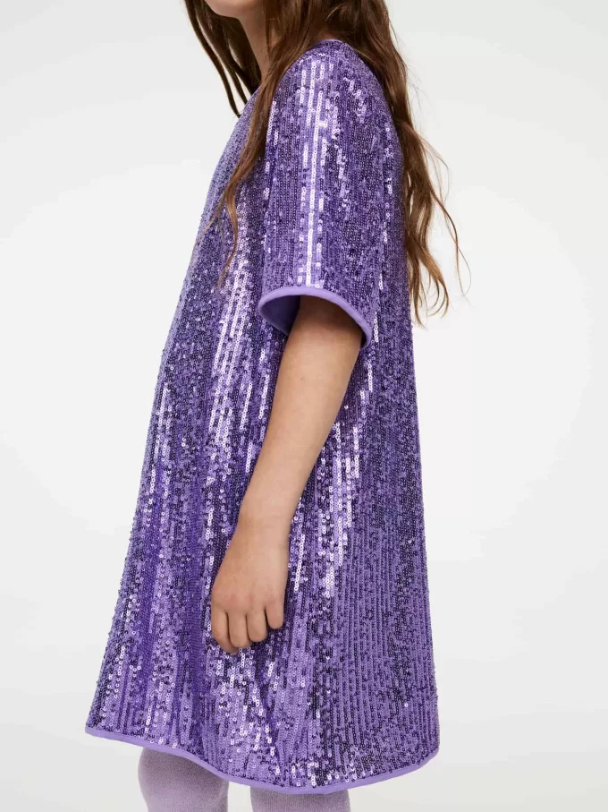 Sequin Dress Sequin Dress