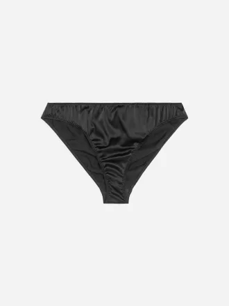 Silk Briefs