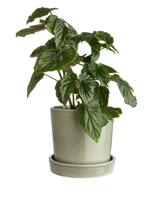 Stoneware Pot 18 cm
