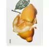 The Gourmand’s Lemon The Gourmand’s Lemon